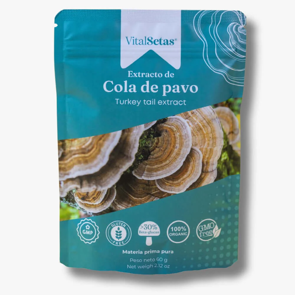Hongo cola de pavo (Inmunidad y anticáncer)