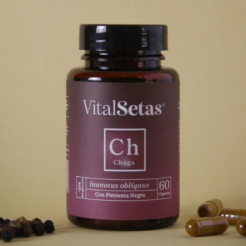 Chaga en cápsulas