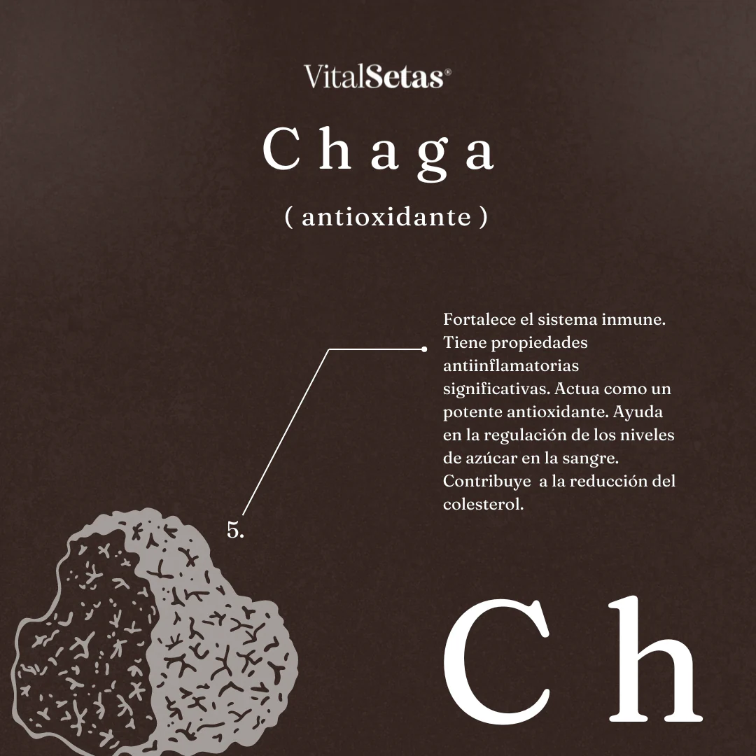 Chaga en cápsulas - Imagen 3